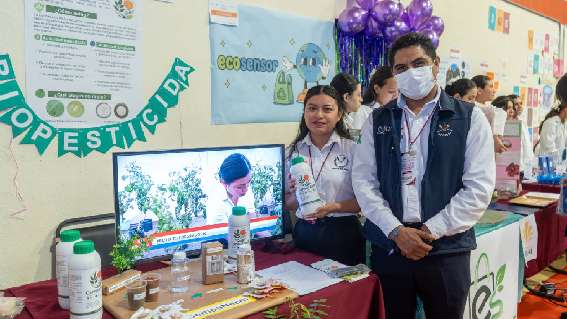 Crean en la UAT biopesticida ecológico para proteger cultivos de tomate