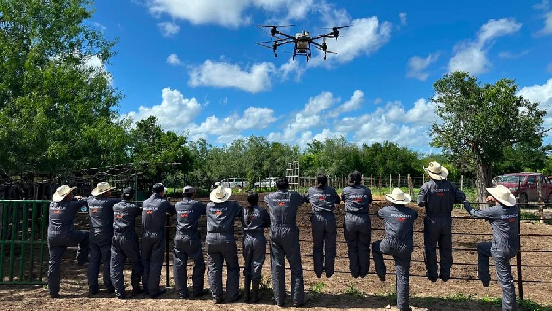 UAT despliega brigadas para contener el gusano barrenador en Tamaulipas